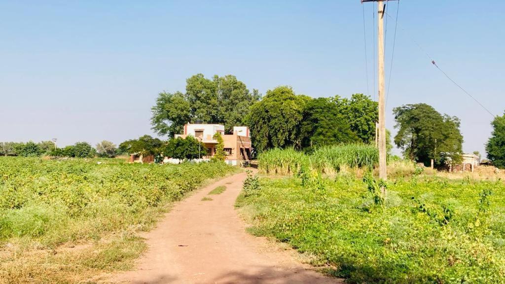 Ananya Farms Paradise Τζοντχπούρ Εξωτερικό φωτογραφία