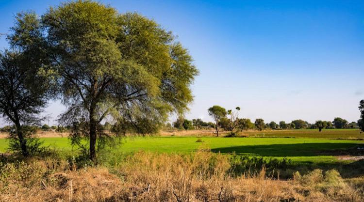 Ananya Farms Paradise Τζοντχπούρ Εξωτερικό φωτογραφία